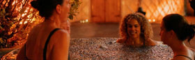POLAR PLUNGE AND SAUNA