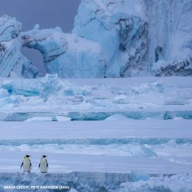 DISPATCHES FROM THE ICE #2: ANTARCTICA'S ANCIENT DNA