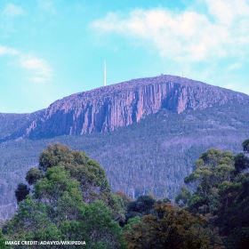KUNANYI BIOBLITZ: DAYTIME AND TWILIGHT NATURE DISCOVERY