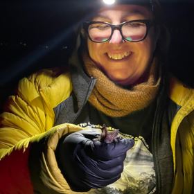 THE SECRET WORLD OF TASMANIAN BATS