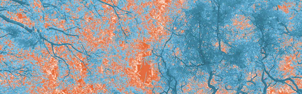 BEYOND THE STARS: SEEING THE SKY THROUGH ABORIGINAL EYES