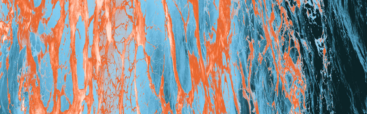 SCIENCE PHOTOGRAPHY PRIZE EXHIBITION