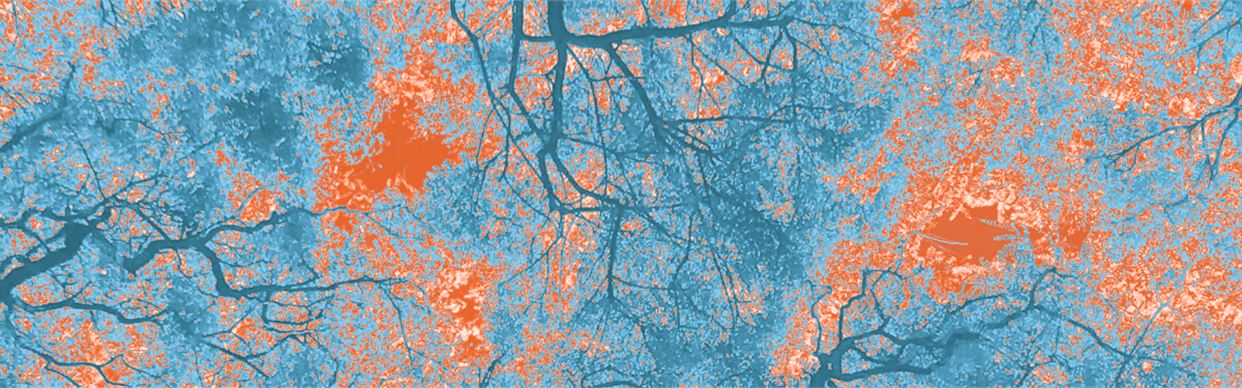 EVOLUTION OF THE PICTURESQUE: A WALK THROUGH ART, SCIENCE AND HISTORY