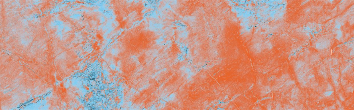 InsideOUT: ROSTRUM CASTORIS AVIFORME