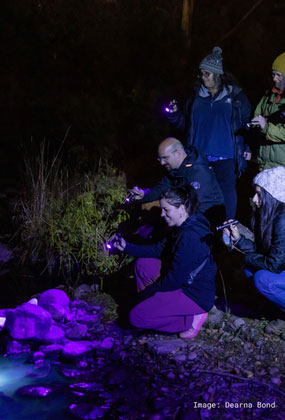 ANYTHING GLOWS: A FLUORESCENT FAMILY-FRIENDLY MINI TOUR