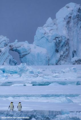 DISPATCHES FROM THE ICE #2: ANTARCTICA'S ANCIENT DNA