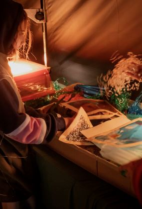 ENCHANTED FOREST: SHADOW PLAY WORKSHOP
