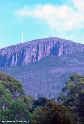 KUNANYI BIOBLITZ: DAYTIME AND TWILIGHT NATURE DISCOVERY