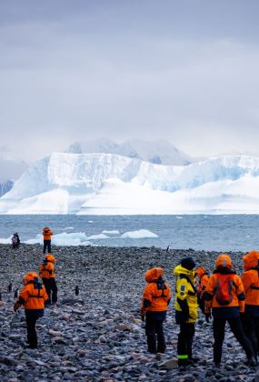 ROVING ANTARCTICANS