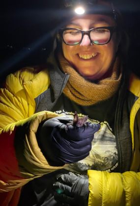 THE SECRET WORLD OF TASMANIAN BATS